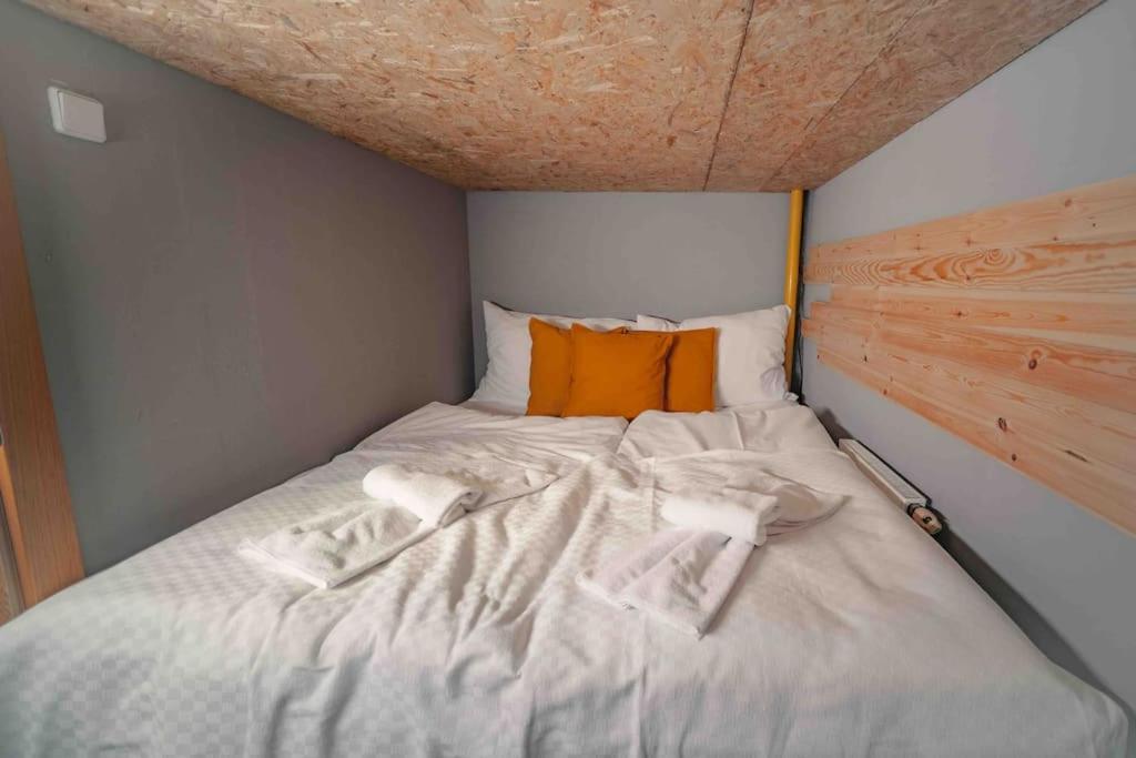 Unique Apartment With Private Pool, Cinema, Spa Prága Kültér fotó